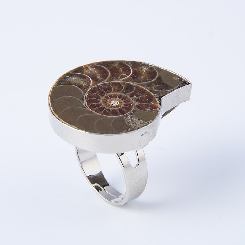 Silver Plated Ammonite Natural Fossil Ring - curative-crystals