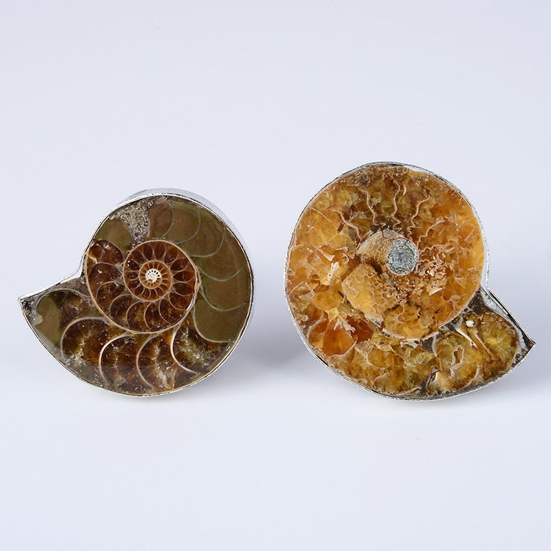 Silver Plated Ammonite Natural Fossil Ring - curative-crystals